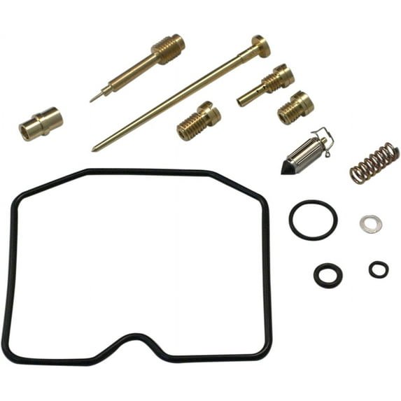 Carburetor Repair Kit