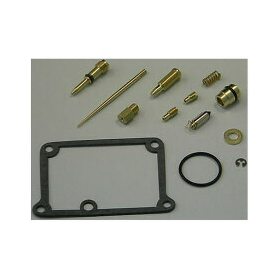 Carburetor Repair Kit