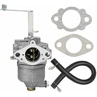 Carburetor Replacement MZ300 Generator Engine