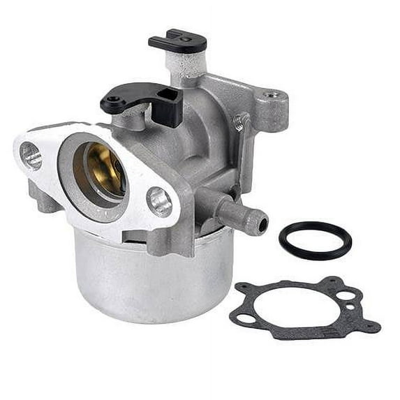 Carburetor fits Briggs & Stratton replaces 799866, 796707, 794304, 798280