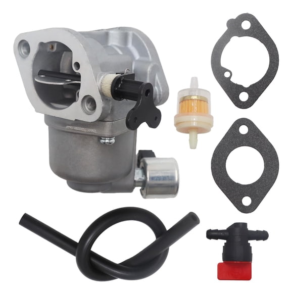 Carburetor for Briggs & Stratton 40N777 40N877 Intek Engine Models, Replace 594207 593197