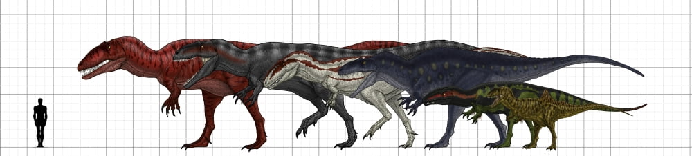 Carcharodontosauridae size chart Canvas Art - Vitor SilvaStocktrek images (30 x 7)
