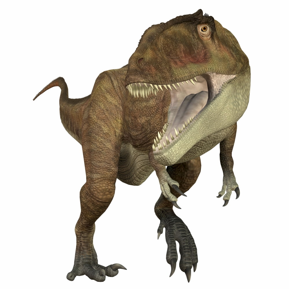 Carcharodontosaurus dinosaur roaring front view Canvas Art - Corey FordStocktrek Images (28 x 28)