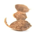 thumbnail image 1 of Cardamom, Red (Cao Guo), 1 of 2