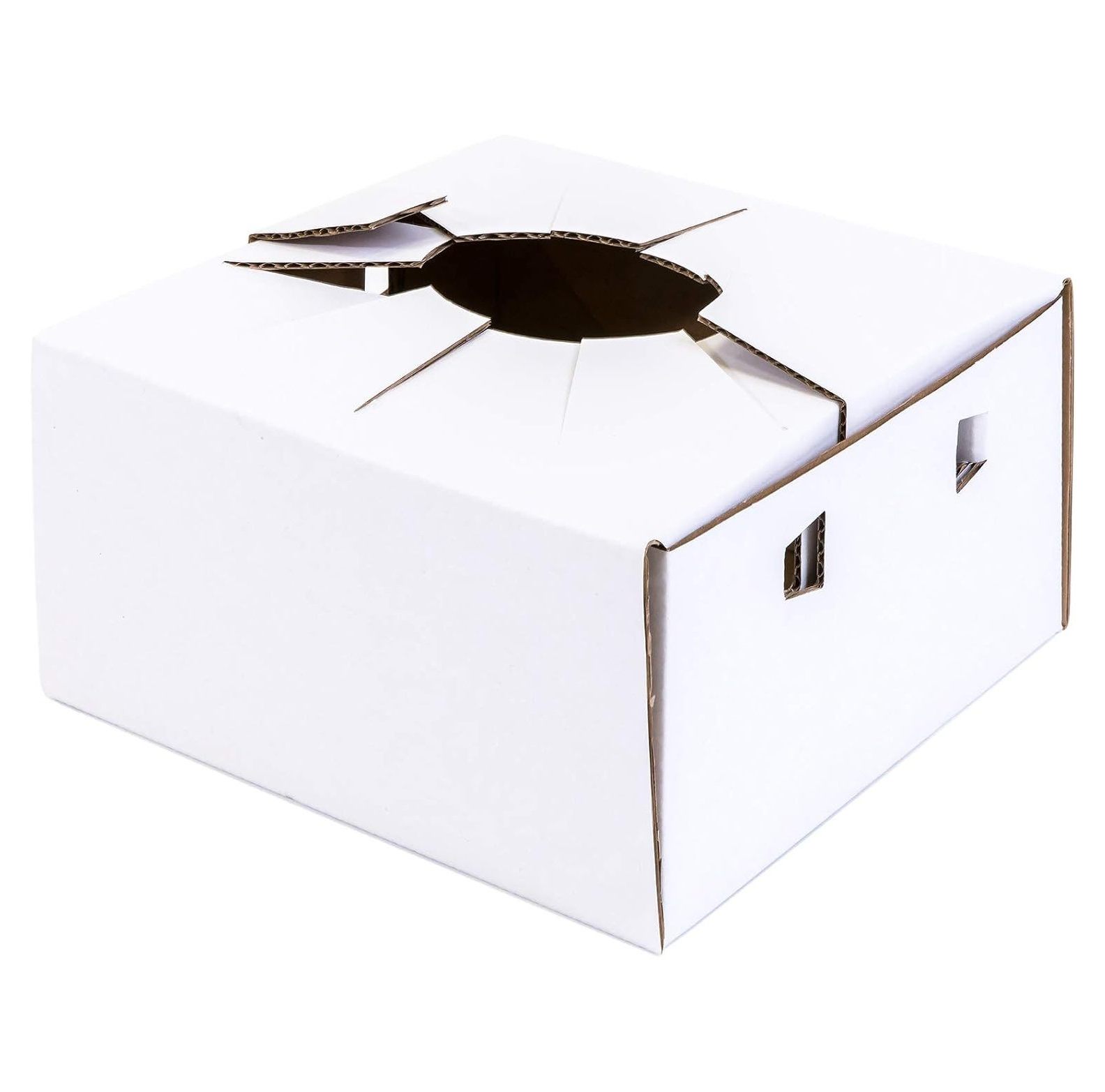 Cardboard Delivery Boxes l Flower Delivery Box l Vase Boxes Cardboard
