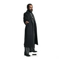 thumbnail image 1 of Advanced Graphics 3865 70 x 19 in. Life-size Cardboard Cutout of Albus Dumbledore - Fantastic Beast 3, 1 of 5