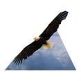 thumbnail image 1 of Advanced Graphics 5183 37 x 45 in. American Eagle Life-Size Cardboard Cutout, 1 of 5