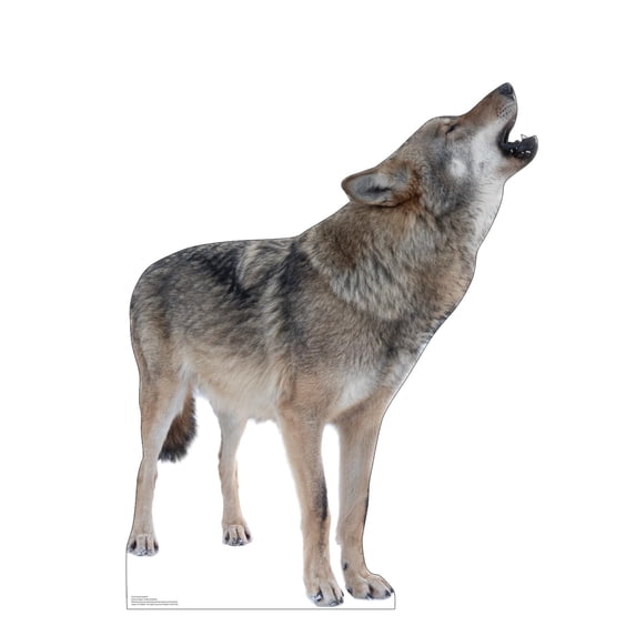 Cardboard People Howling Wolf Life Size Cardboard Cutout Standup - Made in USA