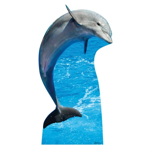 Advanced Graphics 5204 70 x 37 in. Dolphin Life-Size Cardboard Cutout