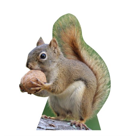 Cardboard People Squirrel Life Size Cardboard Cutout Standup - Made in USA