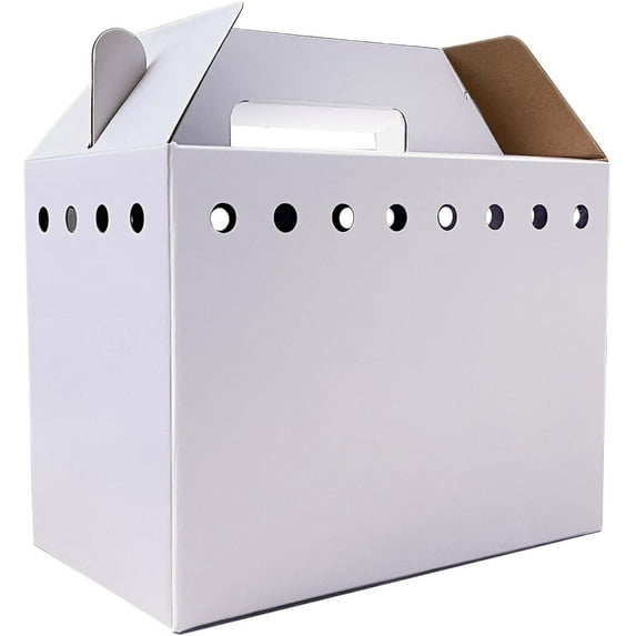 Cardboard Pet Carriers for Small Animals, Hamsters, Gerbils, Birds, Reptiles, Disposable Cardboard Pet Carrier 12 Pack