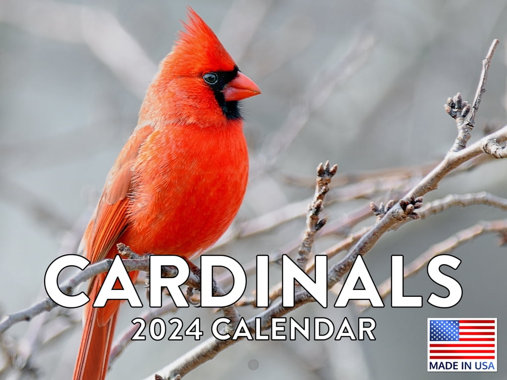 Cardinal Bird 2024 Wall Calendar Cardinal 2024 Calendar