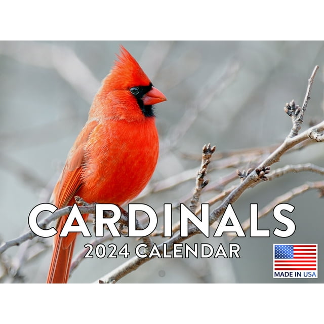 Cardinal Bird 2024 Wall Calendar Cardinal 2024 Calendar