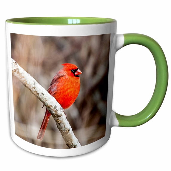 3drose, Cardinal, Bird, Male, 15oz Two-tone Green Mug
