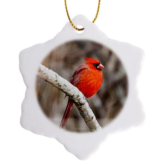 3drose, Cardinal, Bird, Male, 3 inch Snowflake Porcelain Ornament