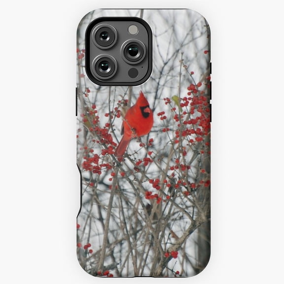 Cardinal Bird Nature Phone Case for iPhone 11 12 13 14 15 16 17 Pro Max