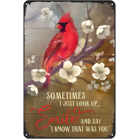 Cardinal Bird Sometimes I Just Look Up Smile and Say I Know That was You Vintage Metal Tin Sign Funny Metal Home Family Novelty Retro Sign Wall Decor 12x8 Inches