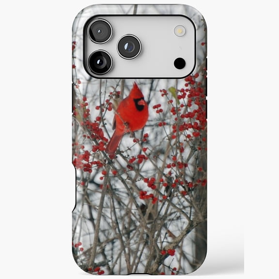 Cardinal Bird Winter Nature Wildlife Art Case for iPhone 11 12 13 14 15 16 17 Pro Max