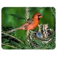 thumbnail image 1 of Cardinal Coasters, 1 of 1