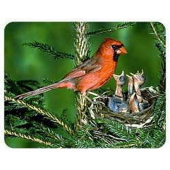 Cardinal Coasters