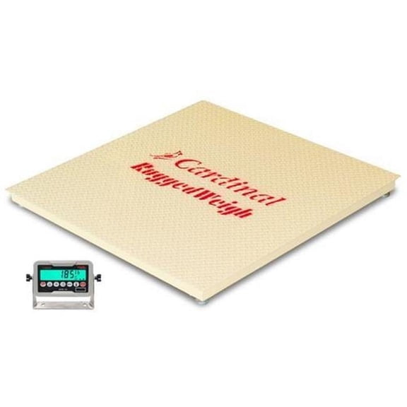 Detecto 4 x 4 ft. 5000 lbs 185 Indicator Electronic Echelon EH Floor Scale