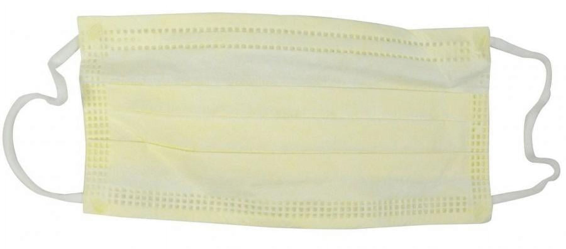 Cardinal Health Procedure Mask - ASTM Level 1, Polypropylene/Tissue ...