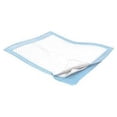 thumbnail image 1 of Cardinal Health, Underpads, Wings™ Basic, 23" x 24" (Case of 200), 1 of 1