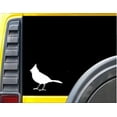 thumbnail image 1 of Cardinal *J558* 6" Decal Sticker, 1 of 1