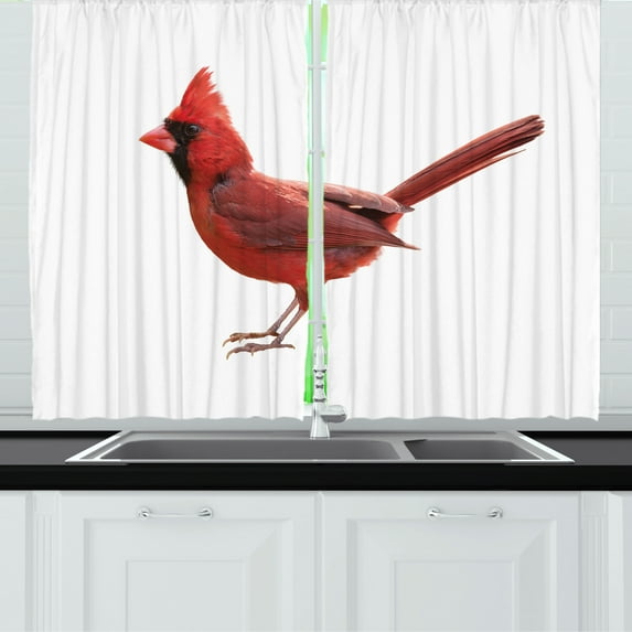 Cardinal Kitchen Curtains, Animal Beak Bird Fauna Feathers Nature Wildlife Songbird Nature Isolated Photo, Two Panels Drapes with Rod Pocket Room Decor, 55" X 45", White and Ruby, by Ambesonne