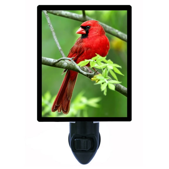 Night Light - Red Bird. | Cardinal Theme, Includes Free Switchable Insert, 4W Bulb, E12 Base