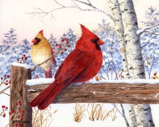 Cardinal Pair with Birch Canvas Art - Maureen Mccarthy (20 x 16)
