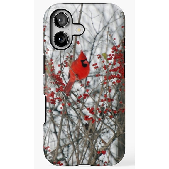 Cardinal Red Songbird Nature Wildlife Bird Graphic Art Phone Case for iPhone 17 16 15 14 13 12 11 Pro Max