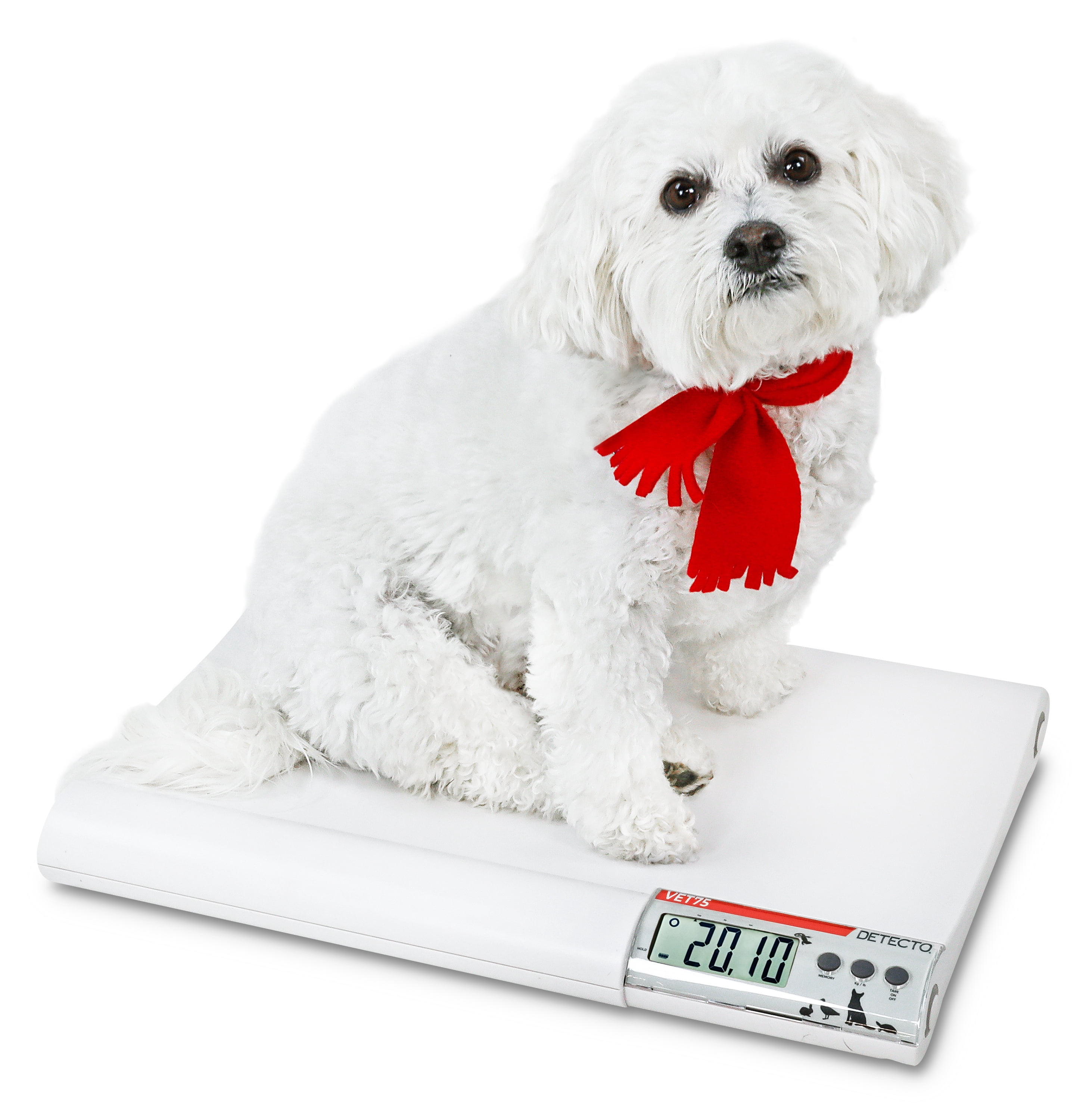 Cardinal Scales VET75 Digital Veterinary Scale - 75 x 0.02 lbs