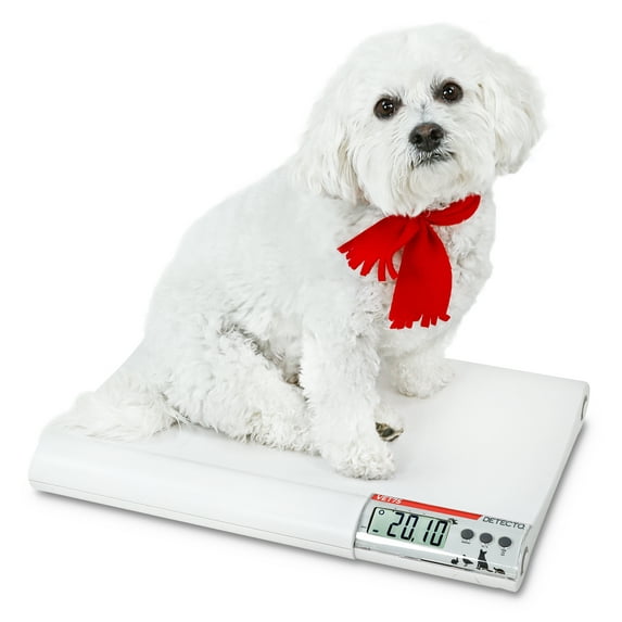 Cardinal Scales VET75 Digital Veterinary Scale - 75 x 0.02 lbs