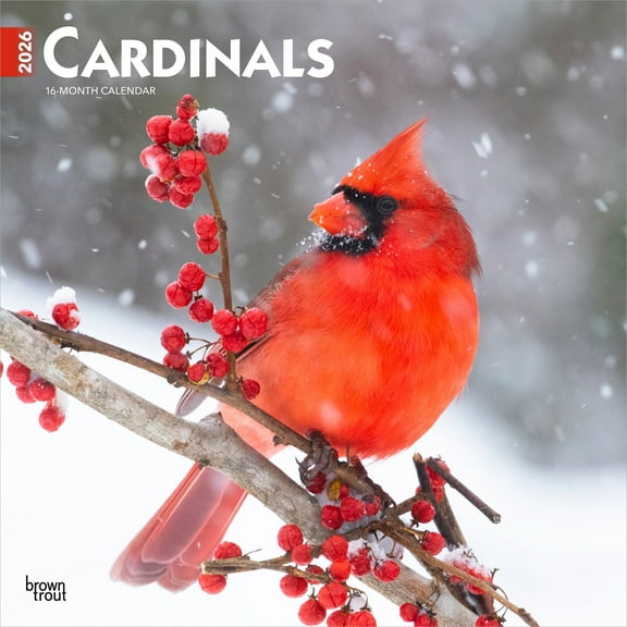 Cardinals | 2026 12x24" (Hanging) Wall Calendar | Plastic-Free | BrownTrout