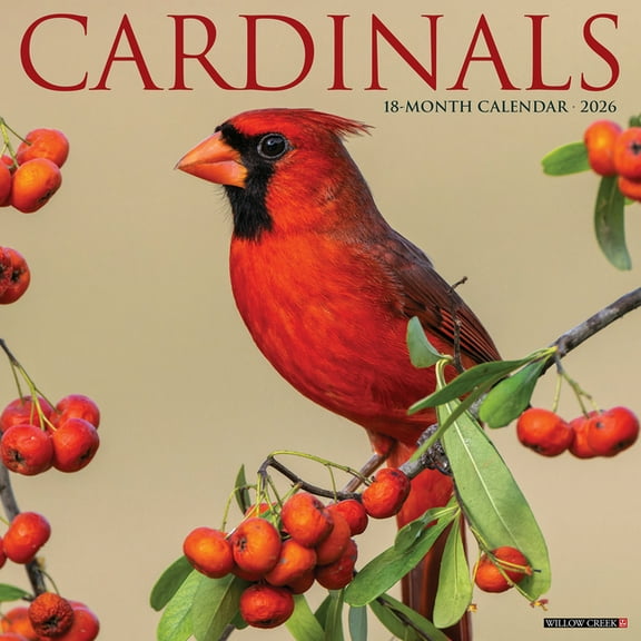 Cardinals 2026 Wall Calendar, (Paperback)