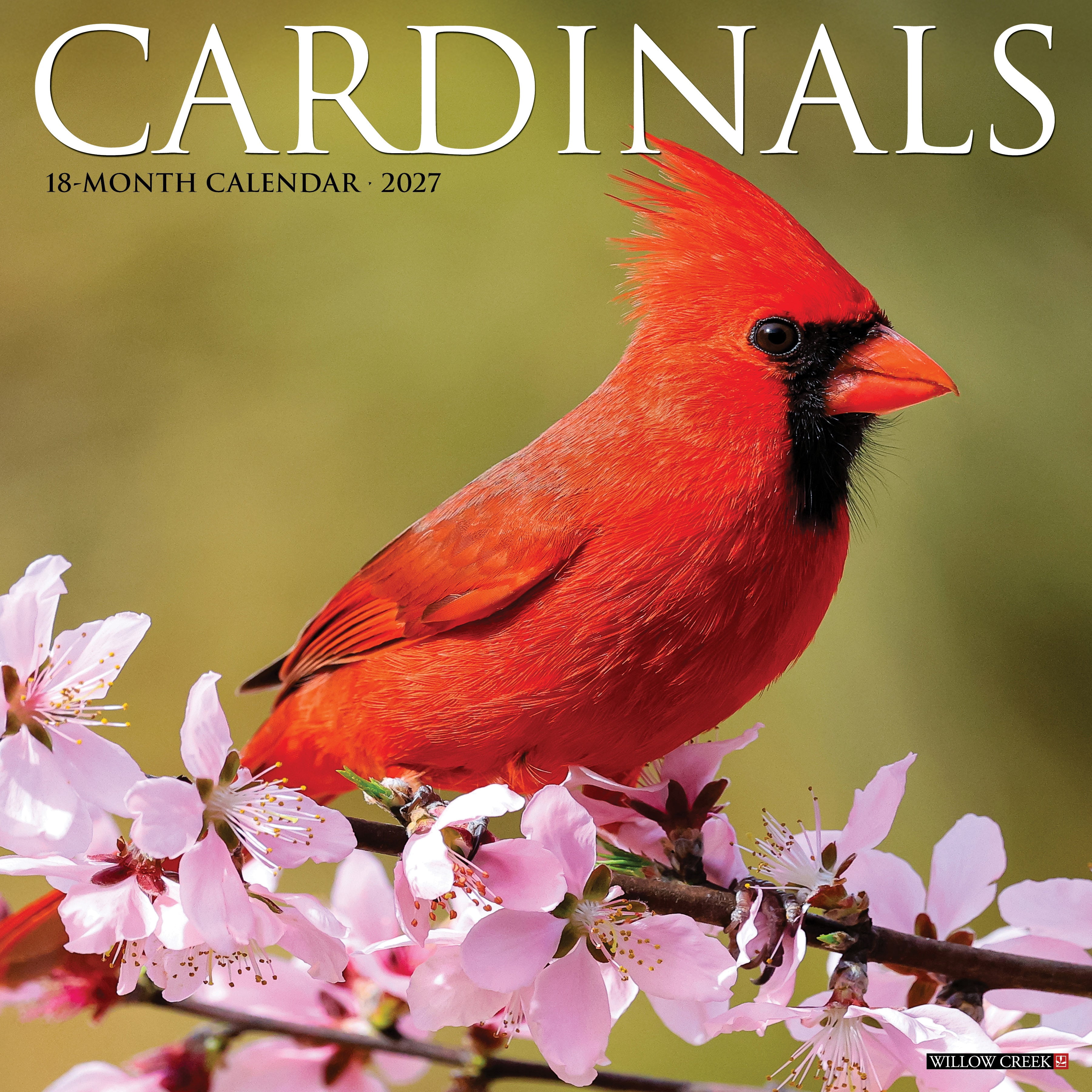 Willow Creek Press, Cardinals 2027 Wall Calendar