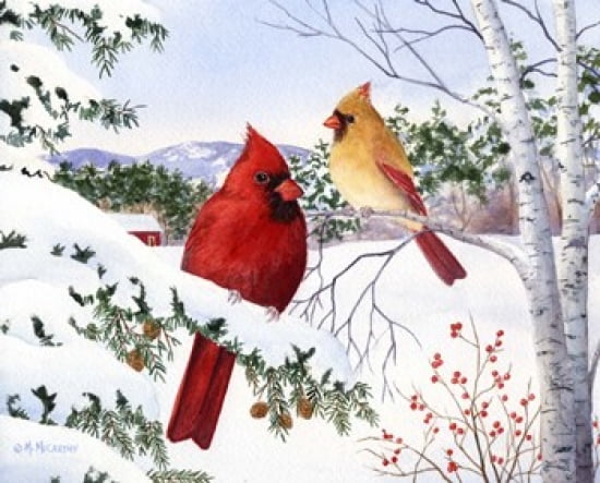 Cardinals And Hemlock Tree Canvas Art - Maureen Mccarthy (20 x 16)