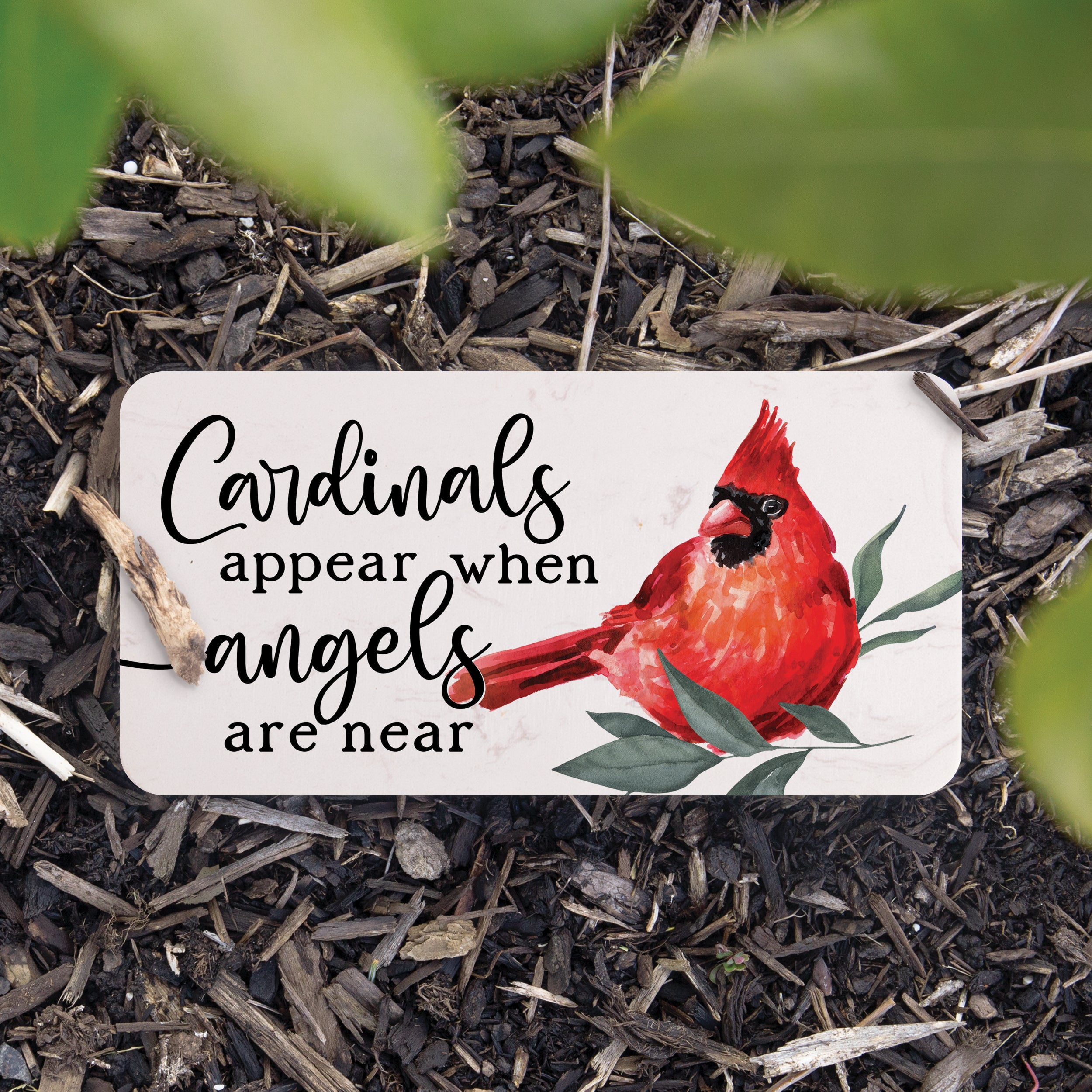 3dRose Greeting Cards - Cardinals Appear When Angels Are Near - 12 Pack Square Note Cards With Envelopes