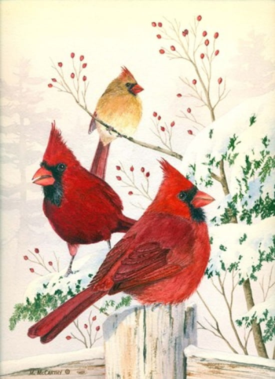 Cardinals In Winter Canvas Art - Maureen Mccarthy (17 x 24)