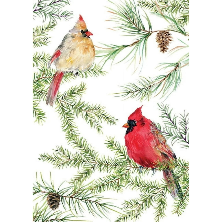Cardinal and Evergreen Holiday Card Cardinal and Evergreen Holiday Card