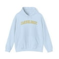 thumbnail image 1 of Cardiologist Cardiology Hoodie Gifts Hooded Sweatshirt Pullover Shirt, 1 of 4