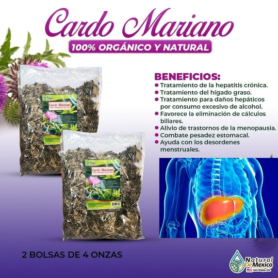 Cardo Mariano Herbal/Tea 8 oz. 227gr. (2/4 oz) Organic Milk Thistle Hand Harvested Natural De Mexico