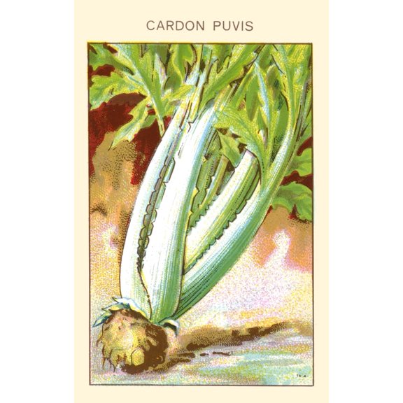 Cardon Puvis Poster Print by unknown (24 x 36)