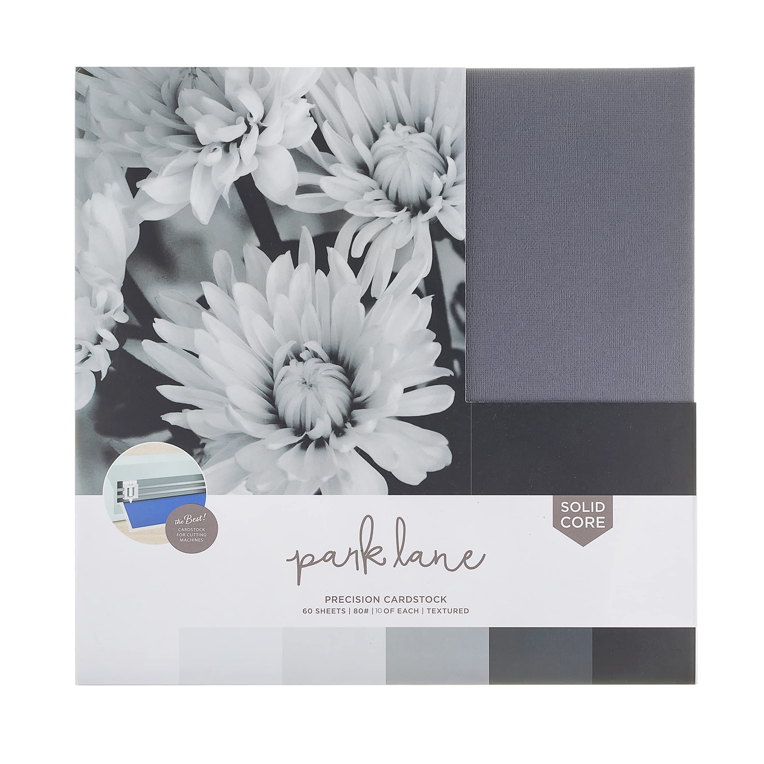 Park Lane cardstock 8.5 x 11 paper pack - white cardstock scrapbook paper  65lb - double sided card