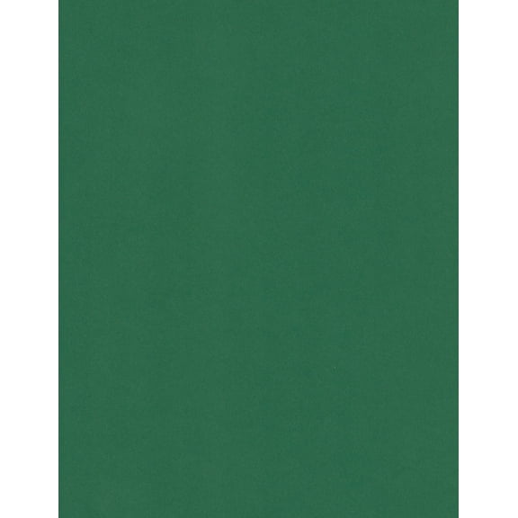 Cardstock Warehouse Lessebo Evergreen - 8.5 x 11 inch 100 lb. Cardstock Paper - 25 Sheets