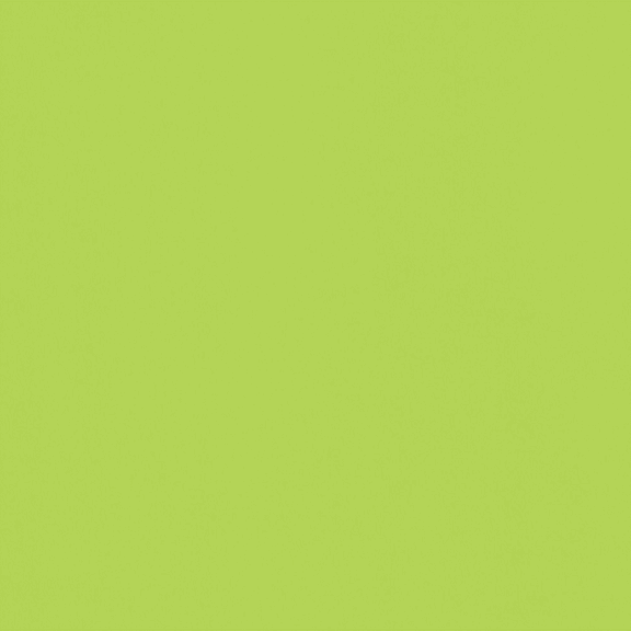 Cardstock Warehouse Lessebo Lime Green - 12 x 12 inch 83 lb. Cardstock Paper - 25 Sheets