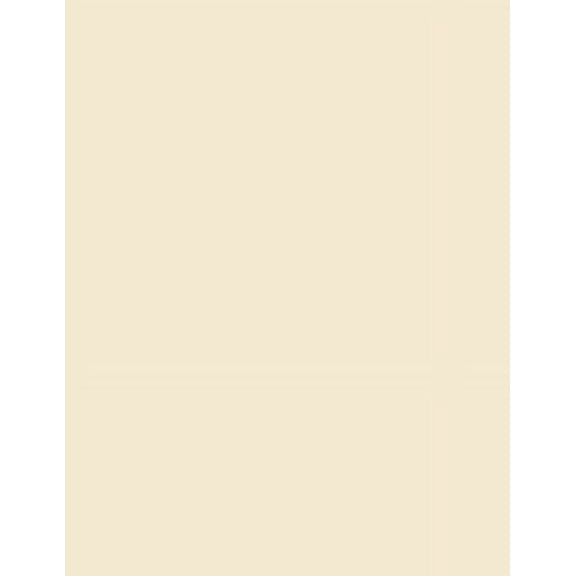 Cardstock Warehouse Lessebo Vanilla - 8.5 x 11 inch 111 lb. Cardstock Paper - 25 Sheets