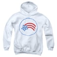 thumbnail image 1 of Care Bears America Cares Bear Belly Youth Kids Boy/Girls Pull-Over Hoodie, White, Small, 1 of 3