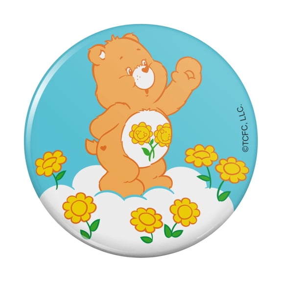 Care Bears Friend Bear Pinback Button Pin